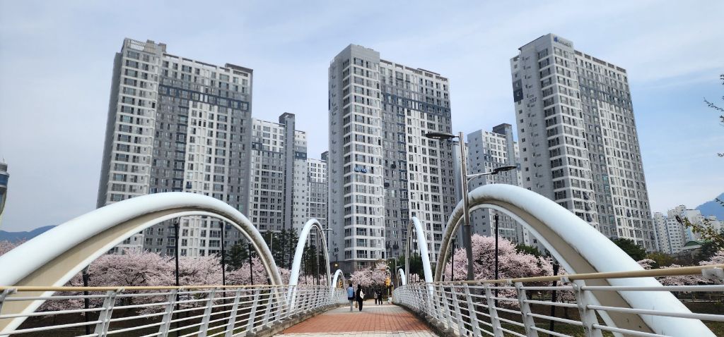 신평교에서 바라본 단지